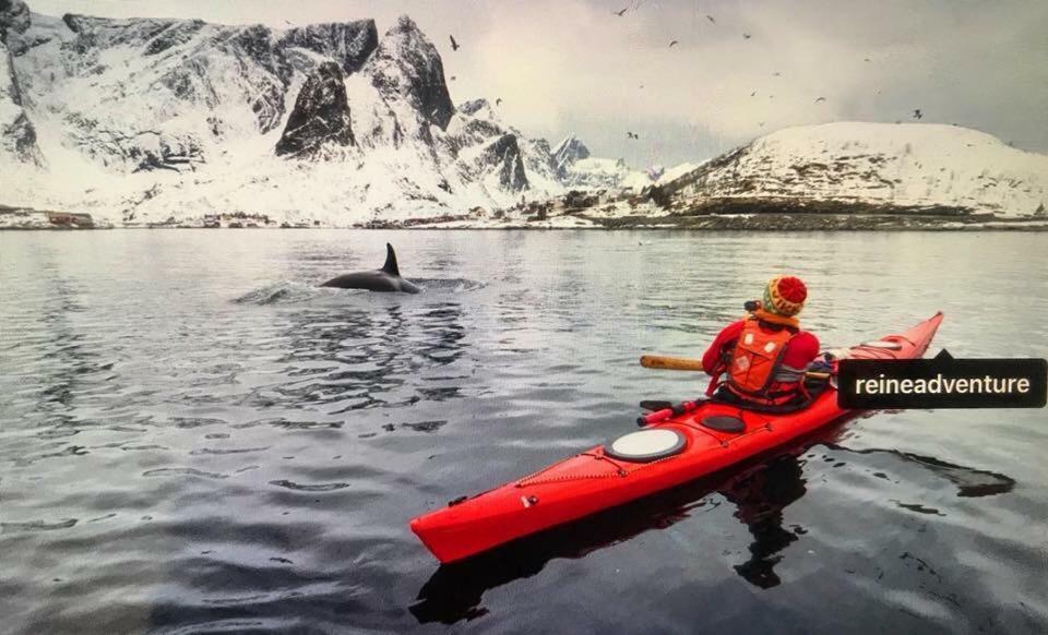 Cozy Apartment In The Middle Of Lofoten Leknes Ngoại thất bức ảnh
